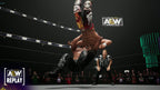AEW: Fight Forever (DE)