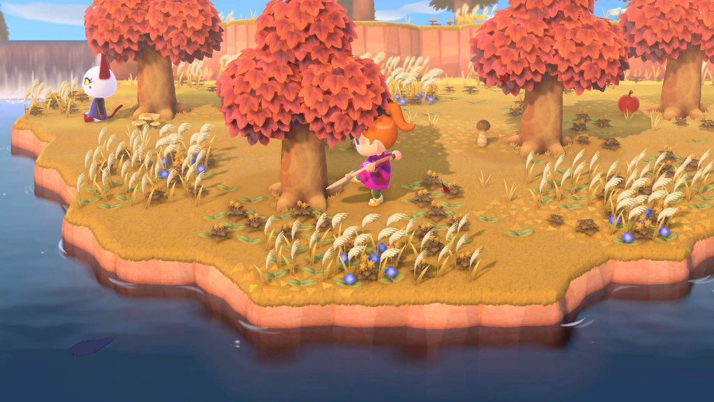 Animal Crossing: New Horizons (FR)