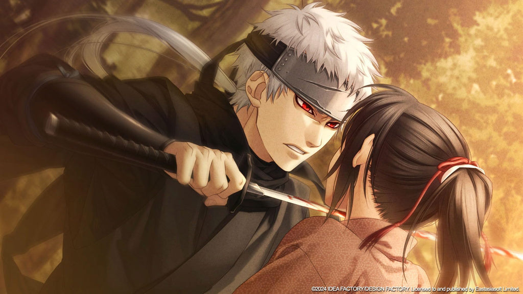Hakuoki: Chronicles of Wind and Blossom (JP)