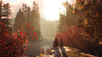 Life is Strange 2 (DE)