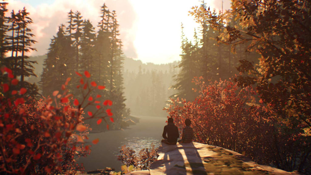 Life is Strange 2 (DE)