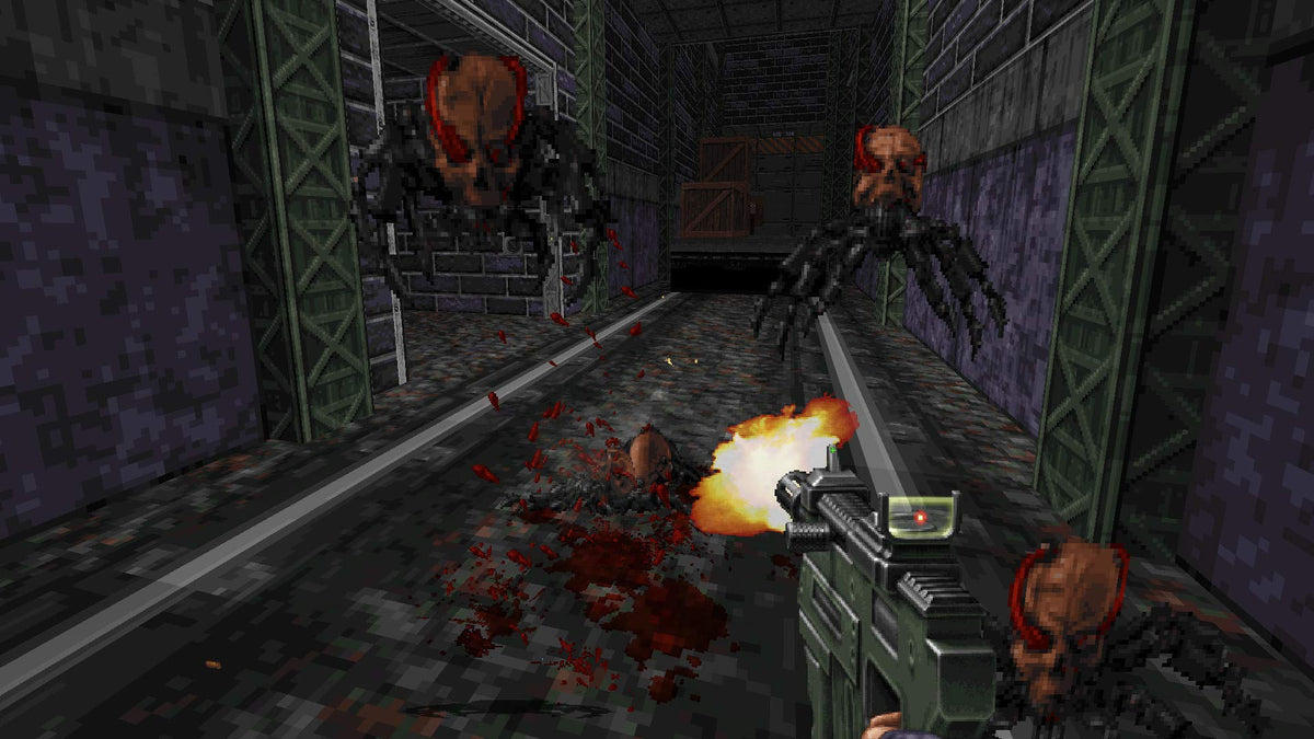 Ion Fury (GB)