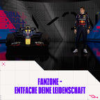 F1 24 (DE)