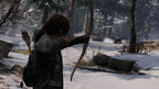Konsole 500GB Last of Us Edition + 2 Original Controller + Kamera schwarz — Last of Us Edition