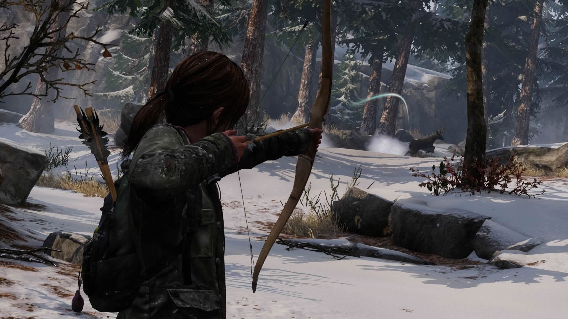 Konsole 500GB Last of Us Edition + 2 Original Controller + Kamera schwarz — Last of Us Edition