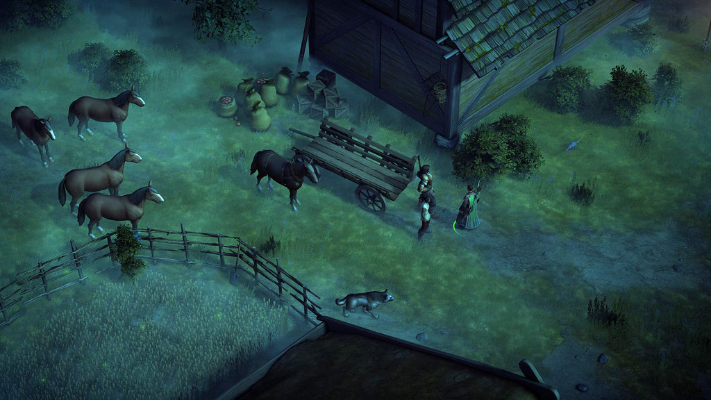 Pathfinder: Kingmaker (IT) — Definitive Edition