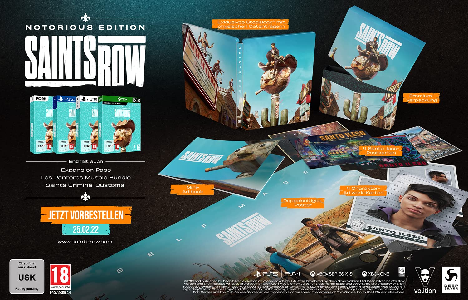 Saints Row Notorious Edition (DE) — Notorious Edition