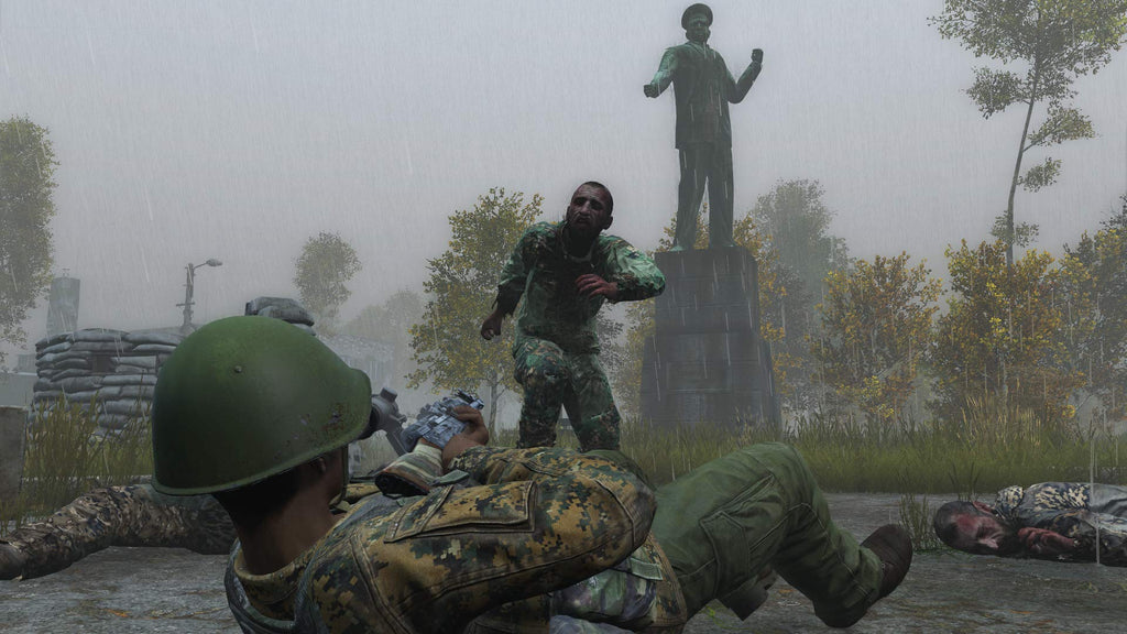 DayZ (DE)