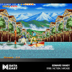 Data East Arcade Collection 2 Cartridge