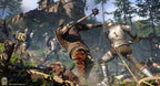 Kingdom Come Deliverance (DE) — Royal Edition