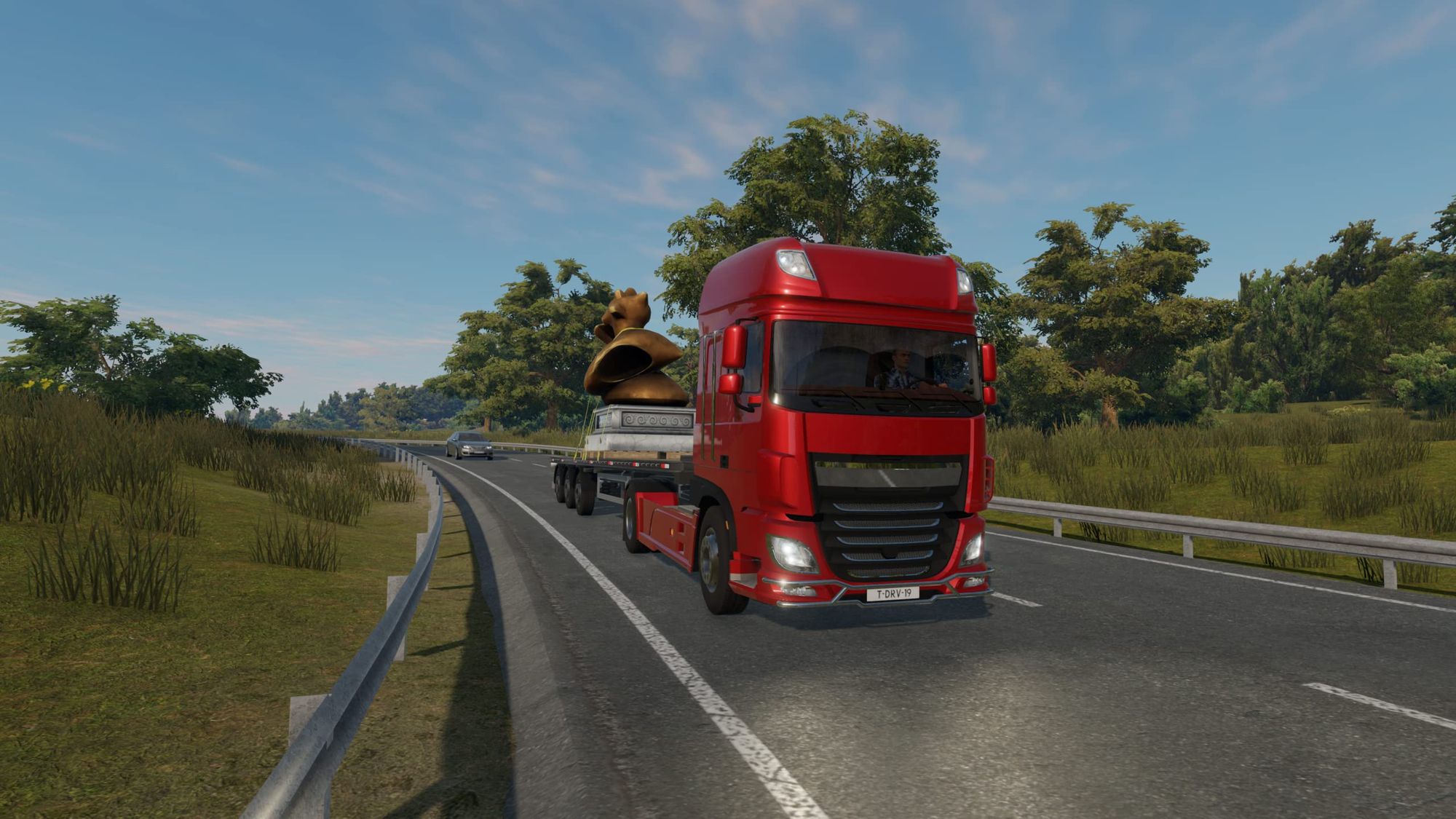 Truck Driver (DE)