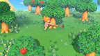 Animal Crossing: New Horizons (FR)