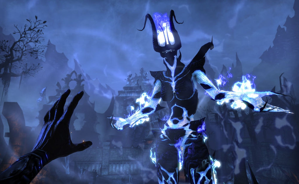 The Elder Scrolls Online: Tamriel Unlimited (FR)