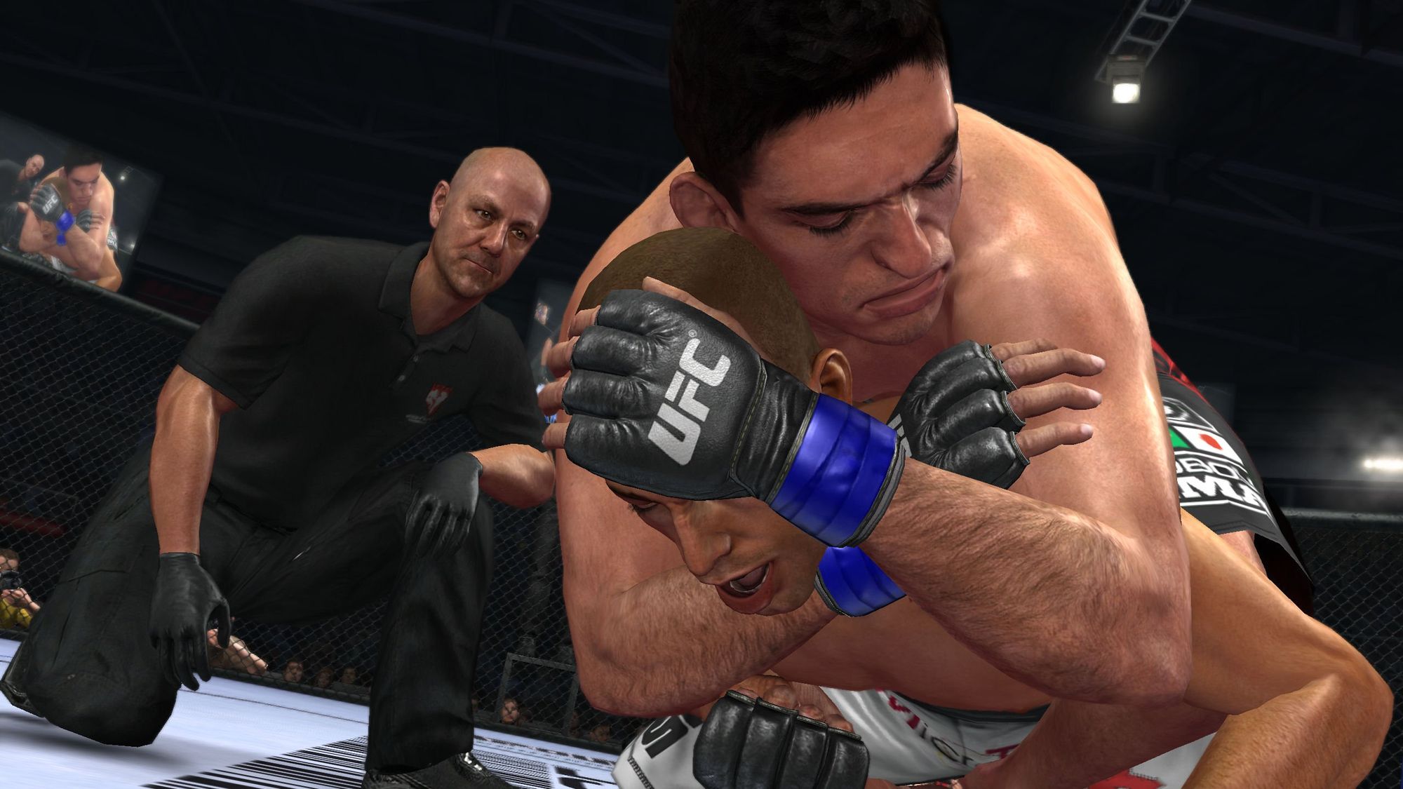 UFC Undisputed 2010 (DE)