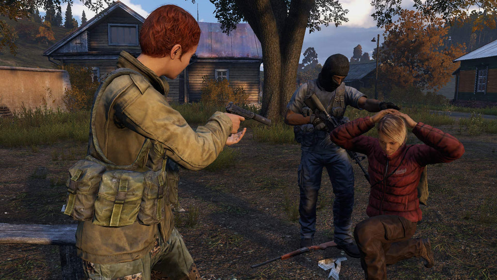 DayZ (DE)