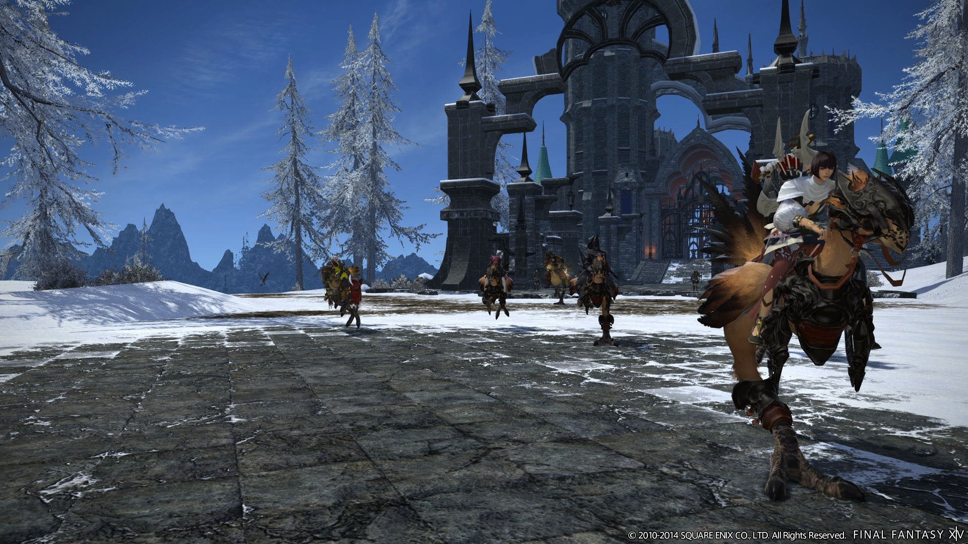 Final Fantasy XIV: A Realm Reborn (DE) — Collector's Edition