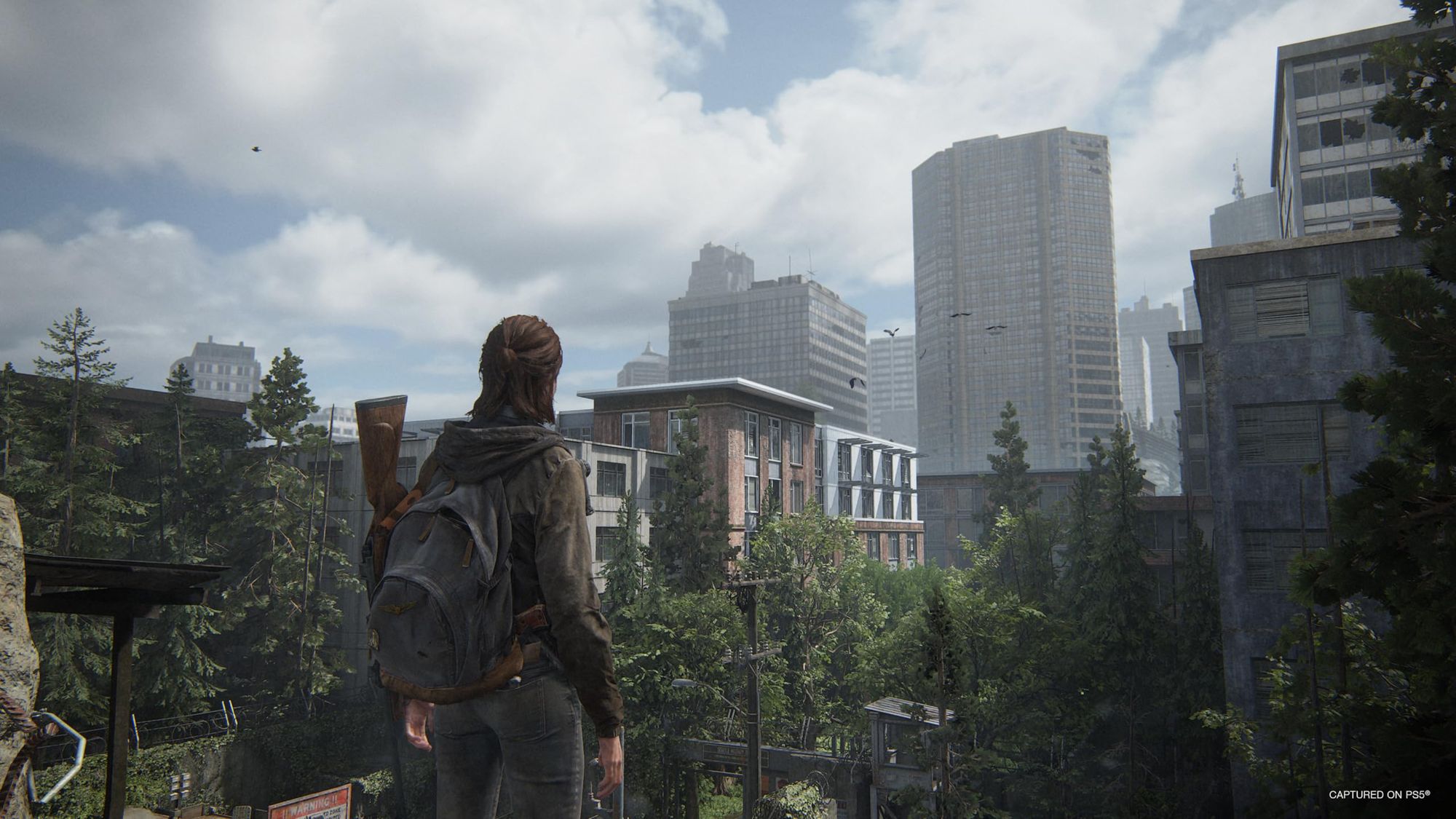 The Last of US Part II (DE) — Remastered