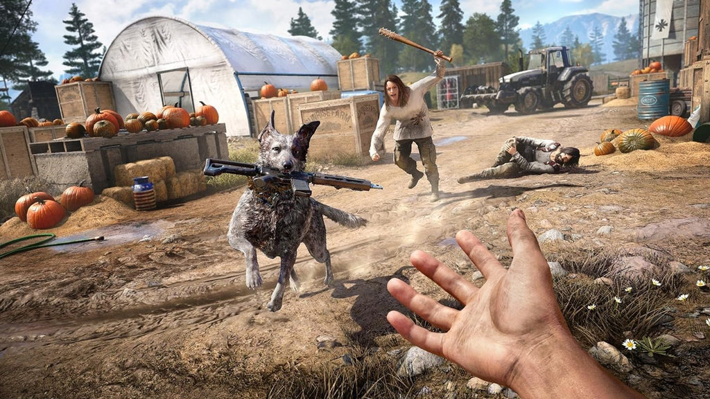 Far Cry 5 (GB)