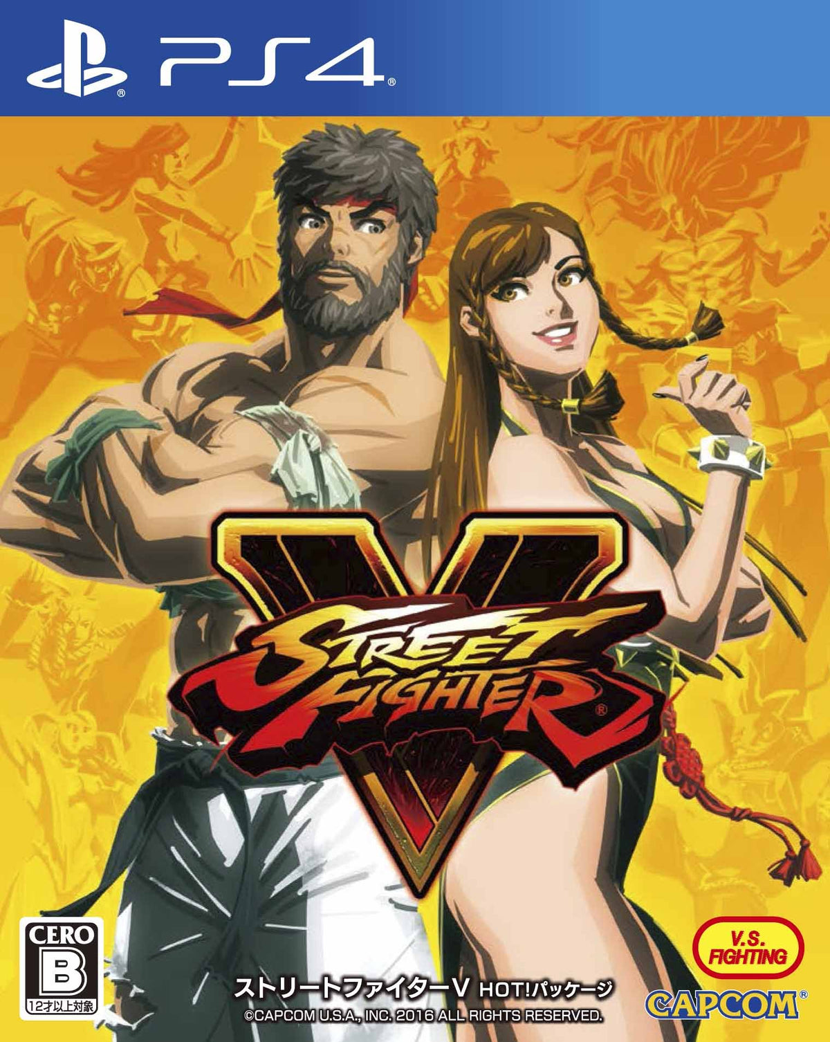 Street Fighter V Hot Package (JP)