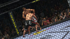 UFC Undisputed 2010 (DE)