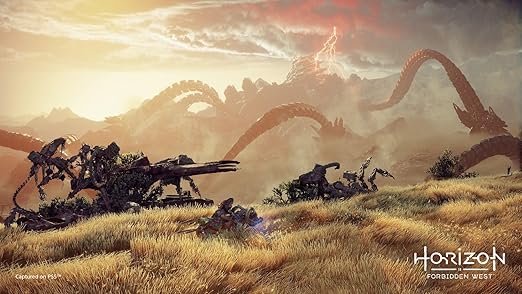 Horizon: Forbidden West (DE)