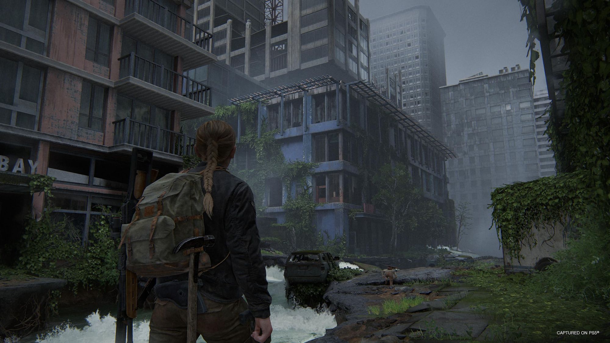 The Last of US Part II (DE) — Remastered