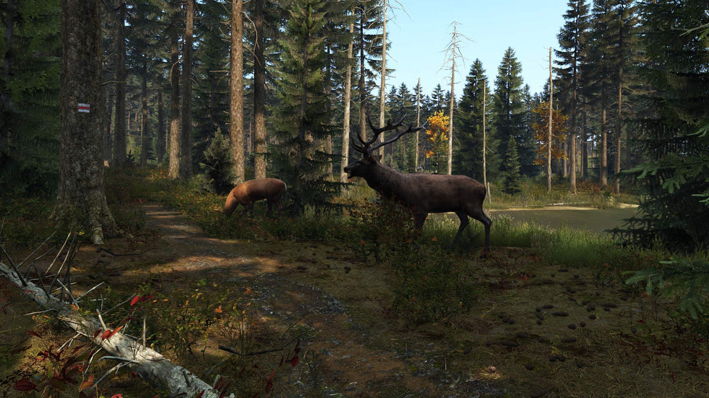 DayZ (DE)