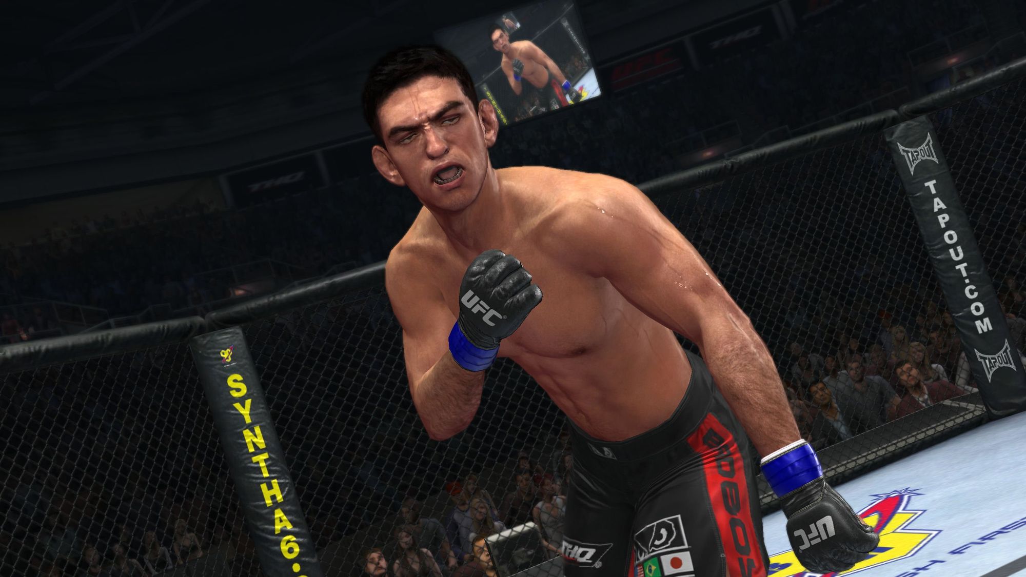 UFC Undisputed 2010 (DE)