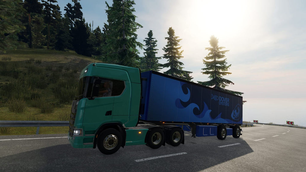 Truck Driver (DE)
