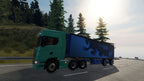 Truck Driver (DE)