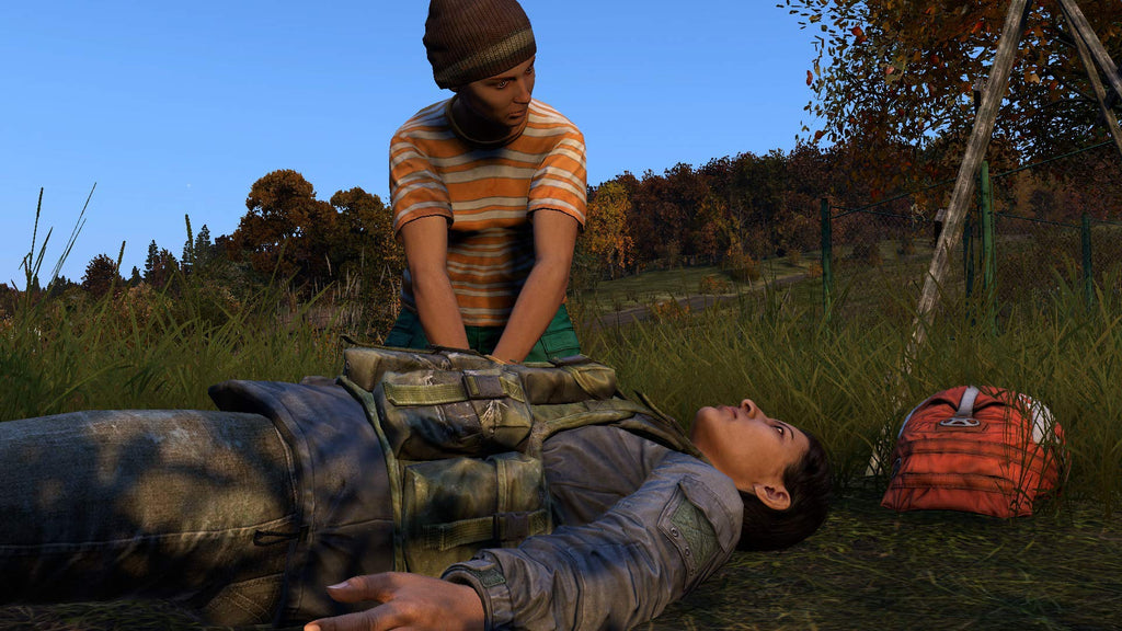 DayZ (DE)