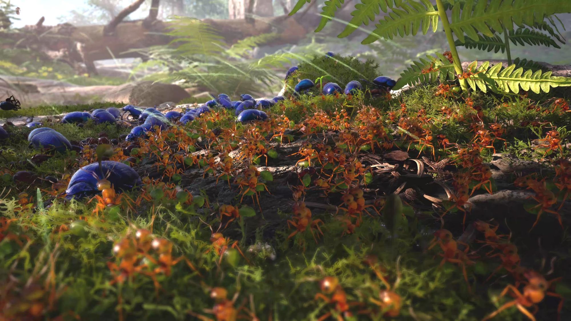 Empire of the Ants (DE) — Limited Edition