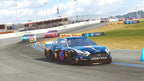 Nascar Heat 4 (DE)