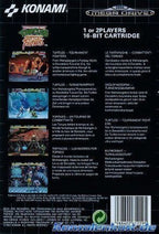 Teenage Mutant Hero Turtles: Tournament Fighters