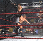 WWE Wrestlemania X8