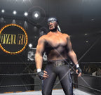 WWE Wrestlemania X8