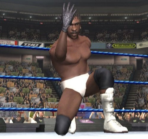 WWE Wrestlemania X8