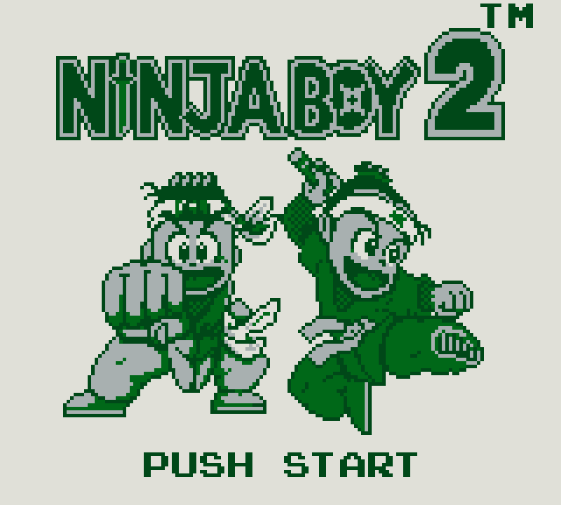 Ninja Boy 1
