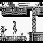 Kung Fu Master (DE)