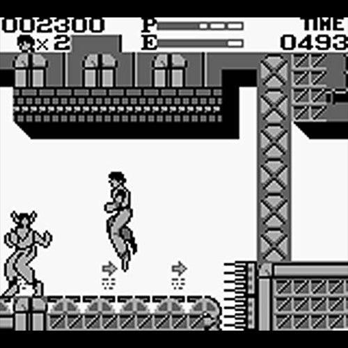 Kung Fu Master (DE)