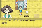 Harvest Moon: Friends of Mineral Town