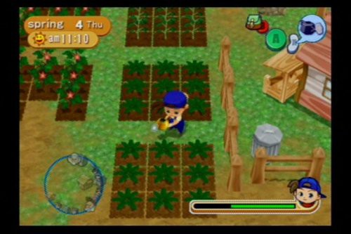 Harvest Moon: Magical Melody (US)