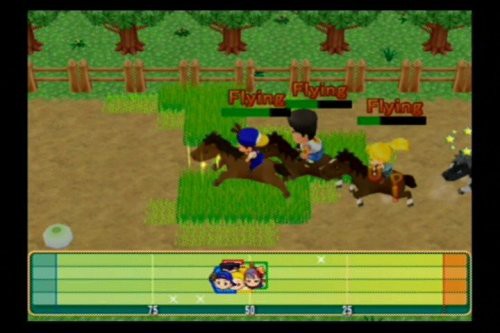Harvest Moon: Magical Melody (US)