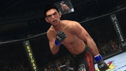 UFC Undisputed 2010 (DE)