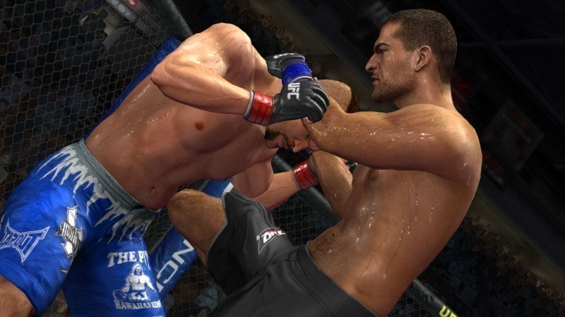 UFC Undisputed 2009 (DE)