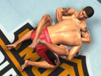 UFC Undisputed 2009 (DE)