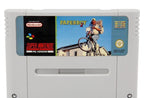 Paperboy 2