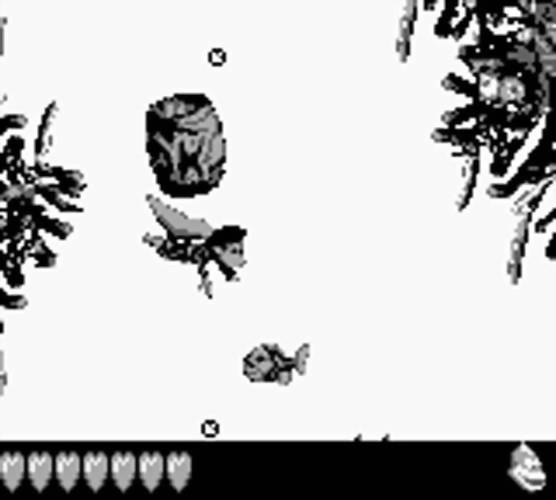 Donkey Kong Land III
