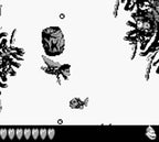 Donkey Kong Land III