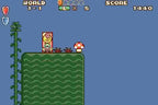 Super Mario Advance 1: Super Mario Bros. 2 & Mario Bros. (EU)